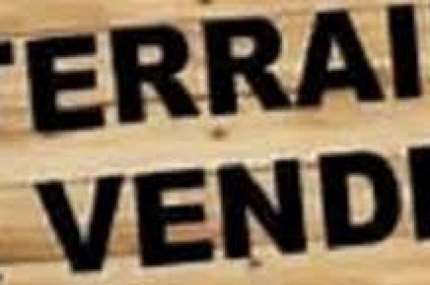 Photo de terrain-a-avendre-256